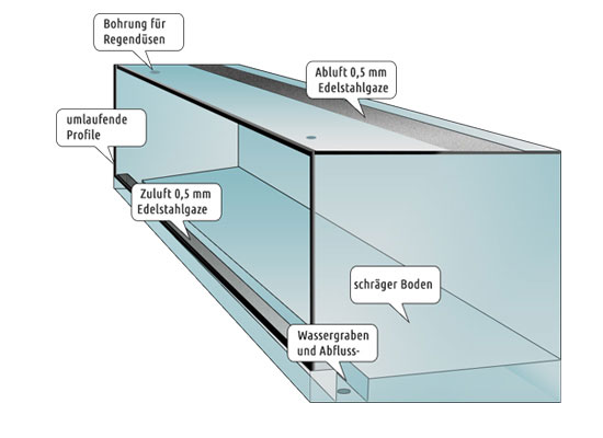 Pfeilgiftroschterrarium, Terrarienbau